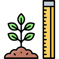 Plant Growth Regulator
