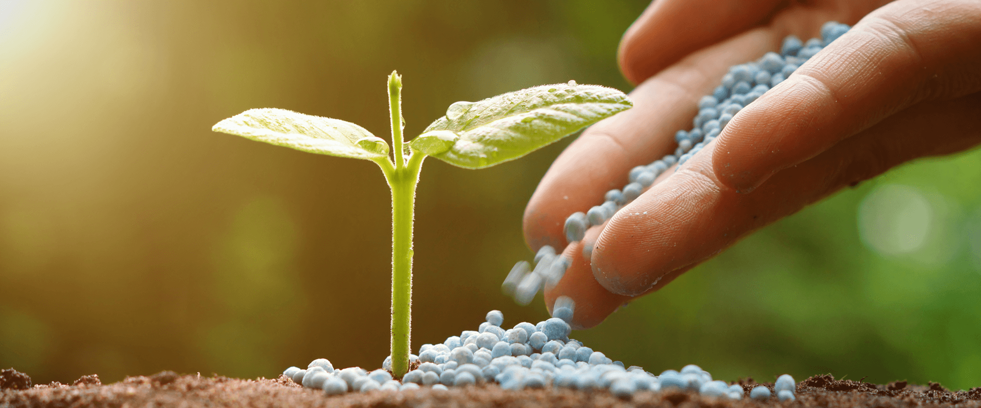 gibberellic acid banner