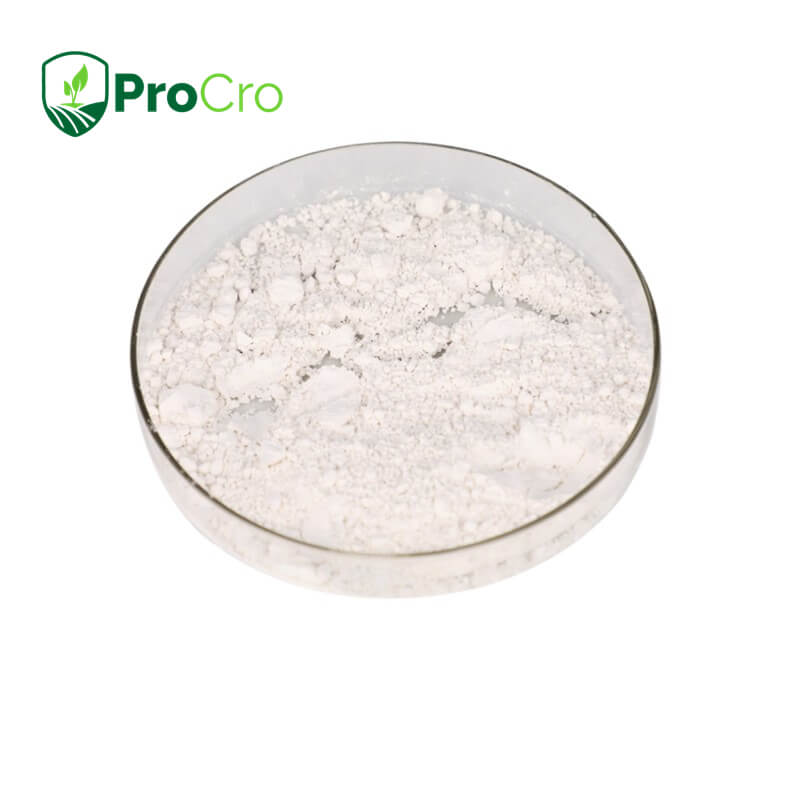 PIRIMIPHOS-METHYL WP