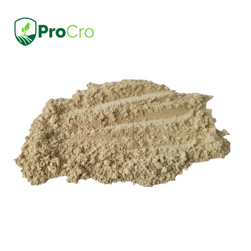 BACILLUS THURINGIENSIS