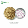 Bacillus subtilis Technical Powder
