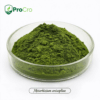Metarhizium anisopliae biological insecticide products for bulk supply