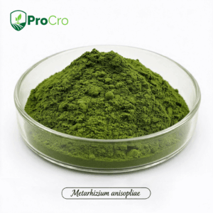 Metarhizium anisopliae biological insecticide products for bulk supply